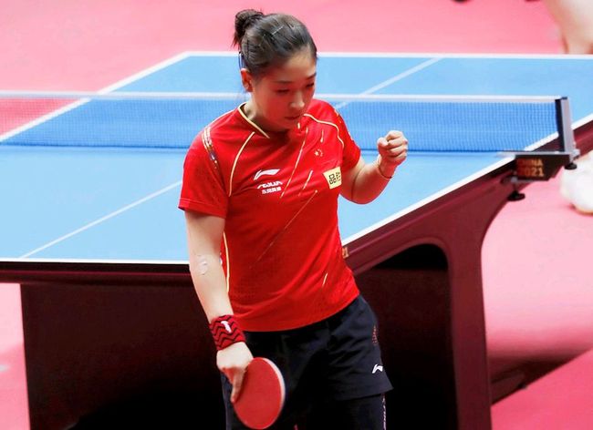 引进和培养 引进和培养